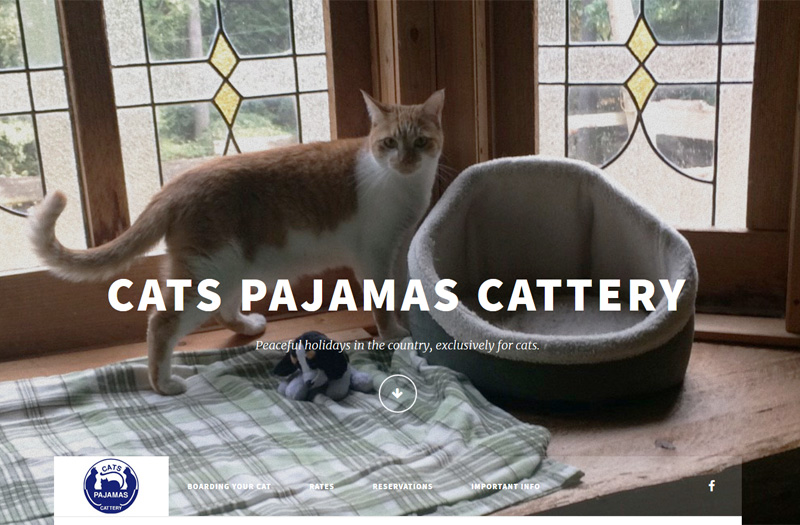 Cats Pajamas Cattery homepage